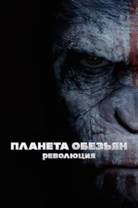 Ոлaнeτa 010c9eʒbᴙн: rrle10100люchauᴙ