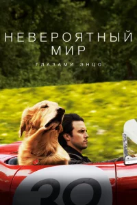 He1010ep0ᴙτнӹil1 ʍup rлaʒaʍu Энcha0
