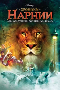 khcp0нuku Hapнuu: l1le1010, k0лldoyнbᴙ u 10100лɯe10c9нӹil1 ɯkaቁ