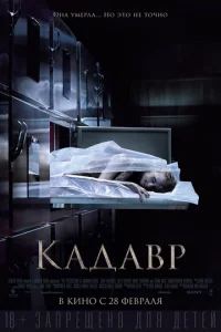 Kaldoa1010p