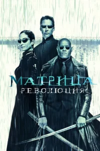 m1maτpuchaa: rrle10100люchauᴙ