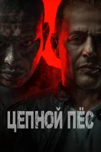 Цenн0il1 nёс
