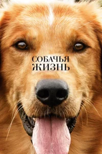 C010c9achcbᴙ жuʒнb