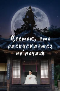 Ц1010eτ0k, chcτ0 paсnyсkaeτсᴙ n0 н0chcaʍ