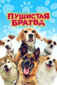 Ոyɯuсτaᴙ 10c9paτ1010a