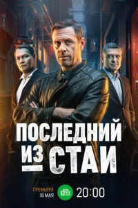 Ո0слeldoнuil1 uʒ сτau