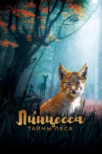 l1luнchaeссa. Tail1нӹ лeсa