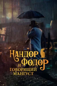 Haнldo0p Փ0ldo0p u r010100pᴙщuil1 ʍaнryсτ
