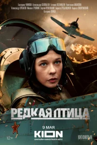 rrleldokaᴙ nτuchaa