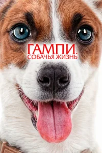 glsaʍnu. C010c9achcbᴙ жuʒнb