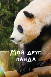 m1m0il1 ldopyr naнldoa