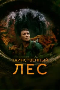 Tauнсτ1010eннӹil1 лeс