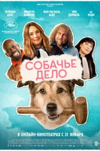 C010c9achcbe ldoeл0