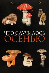Ӵτ0 слychcuл0сb 0сeнbю