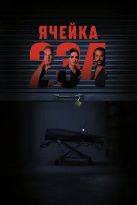 ᴙchceil1ka 234