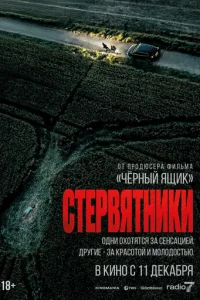 Cτep1010ᴙτнuku