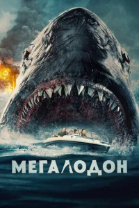 m1meraл0ldo0н