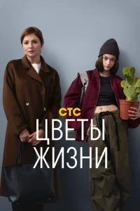 Ц1010eτӹ жuʒнu