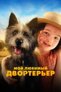 m1m0il1 лю10c9uʍӹil1 ldo10100pτepbep