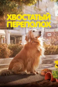 khc10100сτaτӹil1 nepen0л0x